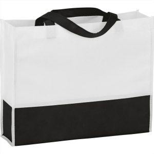 ColorBlock Landscape Tote